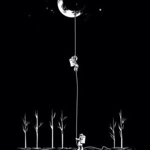 Meet your Posher, Luna